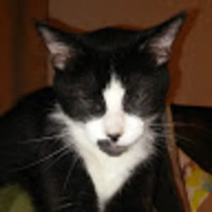 Meet your Posher, Renee